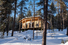 Uusi hirsimökki 7 henkilölle in Inari